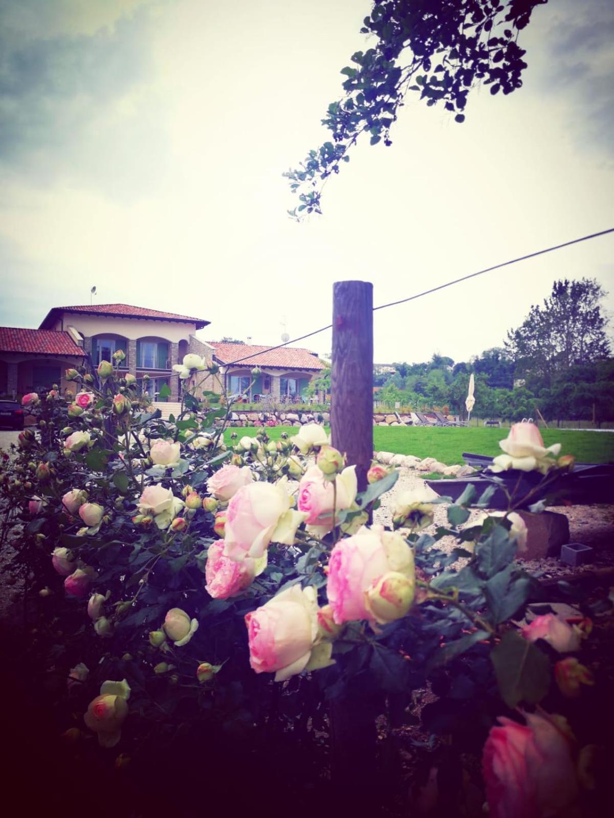 Orchidea Del Garda Rooms & Apartments Пескьера-дель-Гарда Экстерьер фото